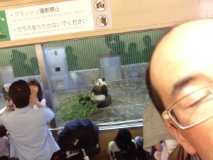 小西さんは無料開放日だった動物園へ。パンダ！！